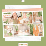 Mojito - Weekly Kit