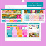 May Monthly - Villa Fiesta